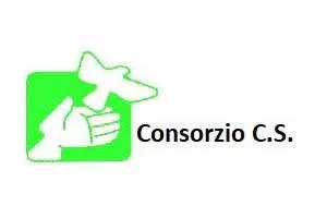consorziocs